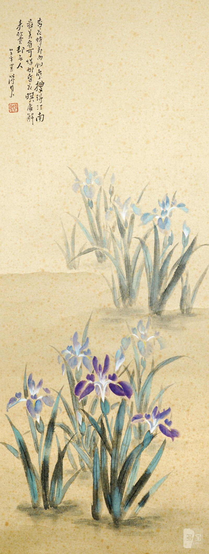    佚名 蘭花